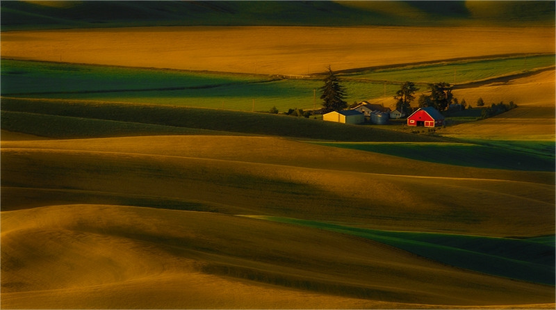 226 - RED HOUSE ON PALOUSE HILL - NGUYEN KIM-LOAN - united states.jpg